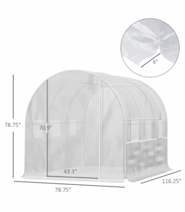 Mini Walk-in Greenhouse