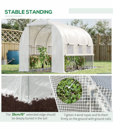 Mini Walk-in Greenhouse