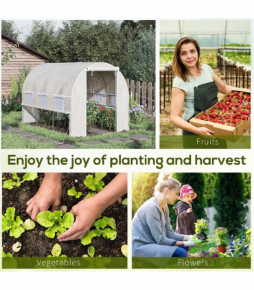 Mini Walk-in Greenhouse