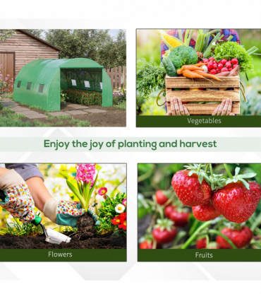 Mini Walk-in Greenhouse