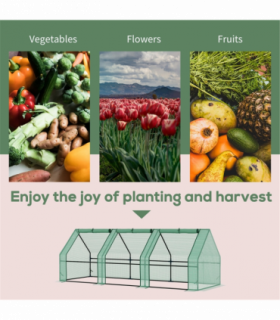 Mini Walk-in Greenhouse