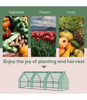 Mini Walk-in Greenhouse