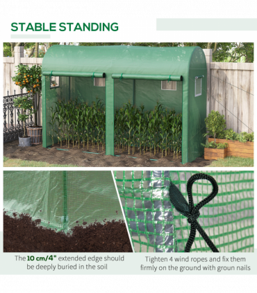 Mini Walk-in Greenhouse