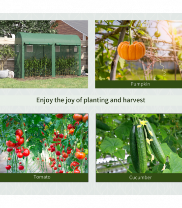 Mini Walk-in Greenhouse