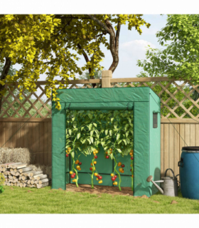 Mini Walk-in Greenhouse