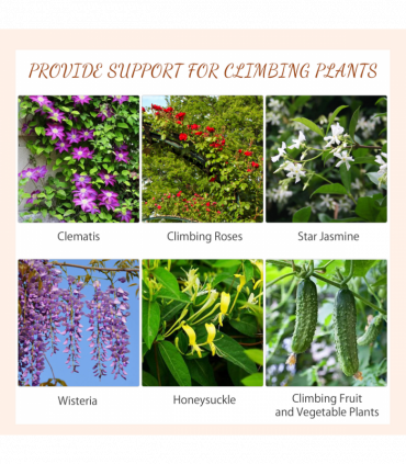 Outsunny Set of 2 Metal Trellis for Climbing Plants, Scrolls Design