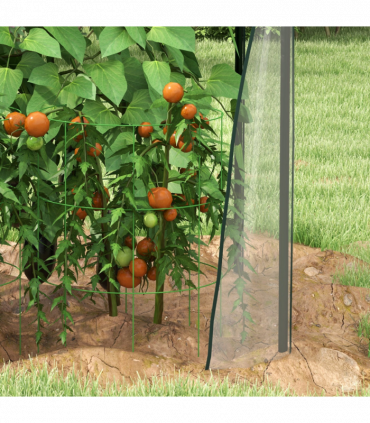 Outsunny Tomato Greenhouse with 2 Zipped Doors, Outdoor Green House, Clear