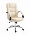 PU Leather Executive Office Chair High Back Height Adjustable Desk Chair, Beige