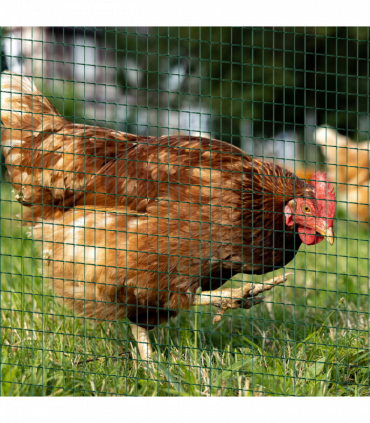 PVC Coated Welded Wire Mesh Chicken Poultry Aviary Fence Run Hutch Pet PawHut