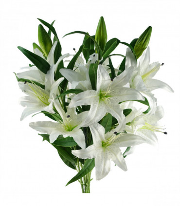Pack of 6 x 100cm Large White Lily Stem - 18 Flowers
