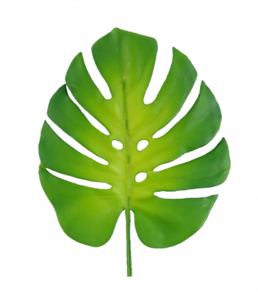 Pack of 6 x 55cm Single Artificial Monstera Leaf