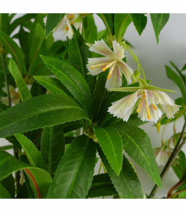 Pack of 6 x 90cm Artificial Hainan Elaeocarpus Stem