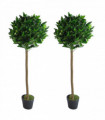 Pair of 120cm (4ft) Plain Stem Artificial Topiary Bay Laurel Ball Trees