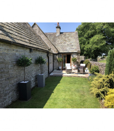 Pair of 120cm (4ft) Plain Stem Artificial Topiary Bay Laurel Ball Trees