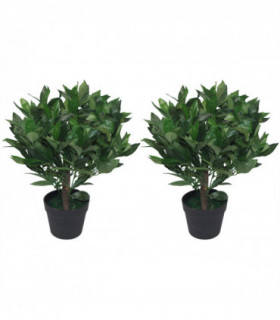 Pair of 50cm Dwarf Artificial Bay Trees Laurel Topiary Bushes