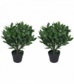 Pair of 50cm Dwarf Artificial Bay Trees Laurel Topiary Bushes