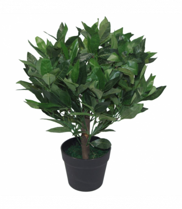 Pair of 50cm Dwarf Artificial Bay Trees Laurel Topiary Bushes