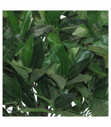 Pair of 50cm Dwarf Artificial Bay Trees Laurel Topiary Bushes