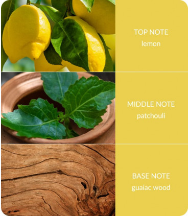 Patchouli & Guaiac Wood Fragrance Diffuser -70ml - Up to 12 Weeks of Fragrance