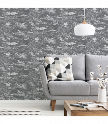 Patina Grey/Silver sw6