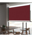 Patio Retractable Side Awning 140 x 300 cm Red