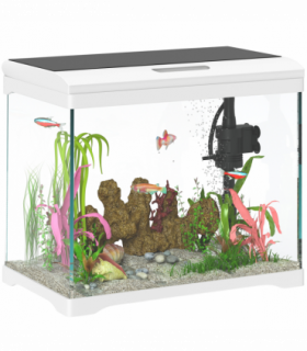 PawHut 17L Glass Fish Tank with Filter System, LED Light, Water Pump, White