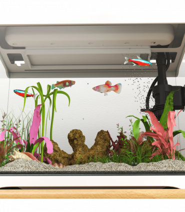 PawHut 17L Glass Fish Tank with Filter System, LED Light, Water Pump, White