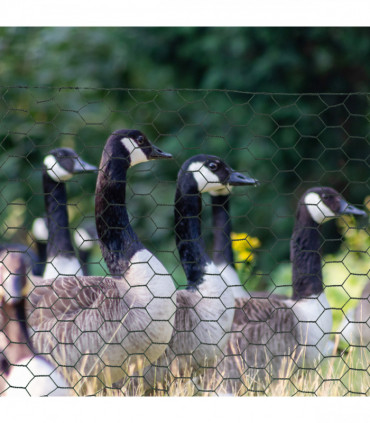 PawHut 1m x 25m Foldable Chicken Wire Mesh, for Rabbits, Ducks, Gooses