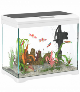 PawHut 27L Glass Fish Tank with Filter System, LED Light, Water Pump, White