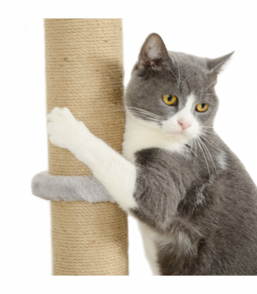 PawHut 4 Piece Cat Shelves w/ Scratching Post, Steps, Jumping Platform