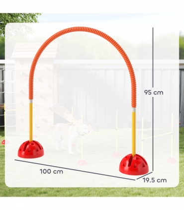 PawHut 4 Piece Dog Agility Training Equipment with Carry Bag, Orange