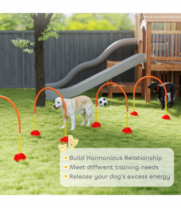 PawHut 4 Piece Dog Agility Training Equipment with Carry Bag, Orange