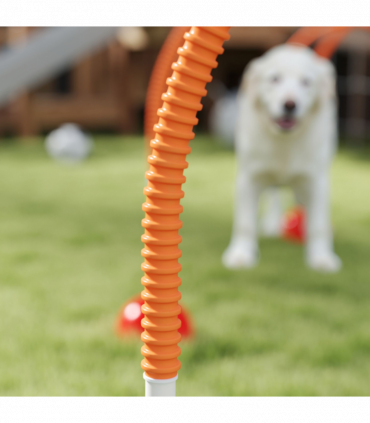PawHut 4 Piece Dog Agility Training Equipment with Carry Bag, Orange