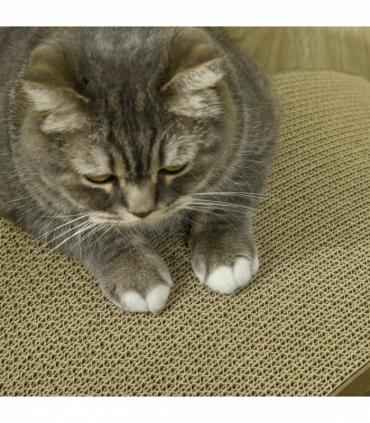 PawHut 4PCs Cat Scratch Pad Reversible, Replacement for Cat Treadmill, 55 x 26cm