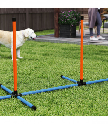 PawHut 6 Pieces Dog Agility Equipment, Obstacle Training Course Kit, Orange
