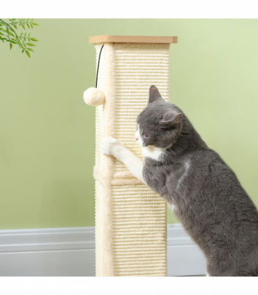 PawHut 67cm Cat Scratching Post 3 in 1 Cat Scratcher w/ Track Ball Toy