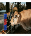 vidaXL Cattle Brushes Red and Blue 50 x 10 x 6.5 cm Plastic and Steel