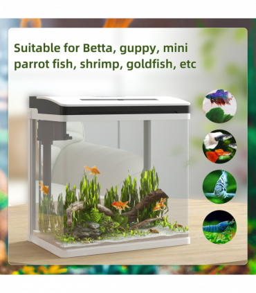 PawHut Aquarium 13L Glass Fish Tank w/ Filter, LED Lighting, Water Pump