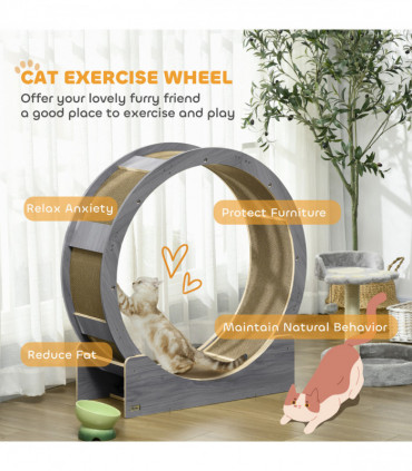 PawHut Cat Wheel with Brake, Scratching Pads - Grey