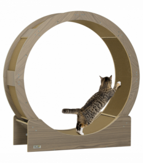 PawHut Cat Wheel with Brake, Scratching Pads - Walnut Brown