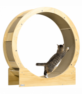 PawHut Cat Wheel with Brake, Scratching Pads for Health, Oak