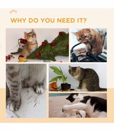 PawHut Cat Wheel with Brake, Scratching Pads for Health, Oak