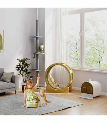 PawHut Cat Wheel with Brake, Scratching Pads for Health, Oak