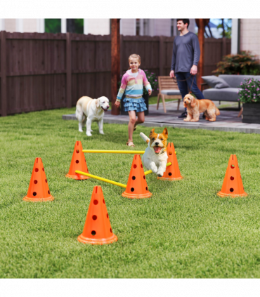 PawHut Dog Agility Equipment Set, 3 PCS Adjustable Height Jumping Obstacles