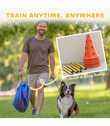 PawHut Dog Agility Equipment Set, 3 PCS Adjustable Height Jumping Obstacles