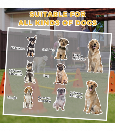 PawHut Dog Agility Equipment Set, 3 PCS Adjustable Height Jumping Obstacles