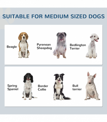 PawHut Dog Feeding Station with Storage, Pet Feeding Station with Dog Bowls