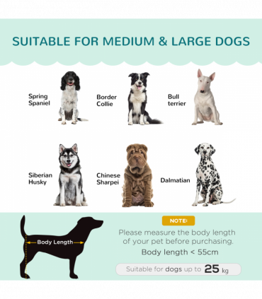 PawHut Dog Sofa, Pet Couch Bed for Medium, Large Dogs w/ Legs, Cushion - Green