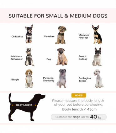 PawHut Elevated Dog Sofa Bed with Cushion for Medium and Small Dogs, Grey