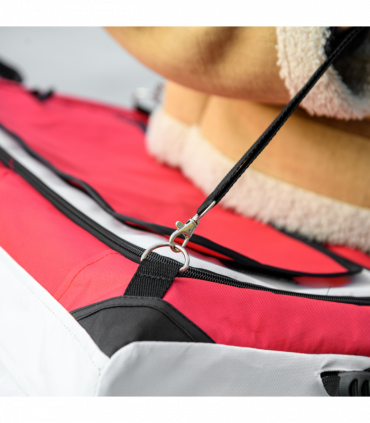 PawHut Foldable Pet Stroller w/ Detachable Carrier, Soft Padding - Red